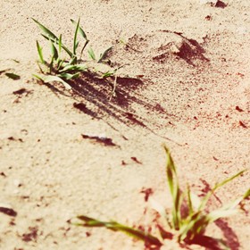 Природа: Природа