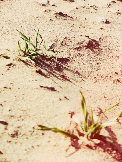 Природа: Природа